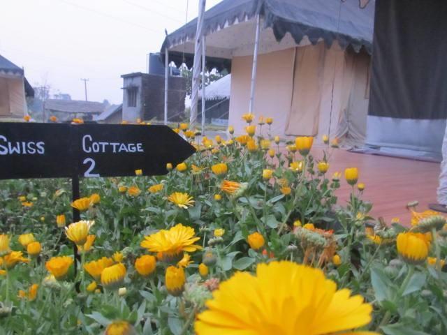 Derra Camp And Resort Jhājra Dış mekan fotoğraf